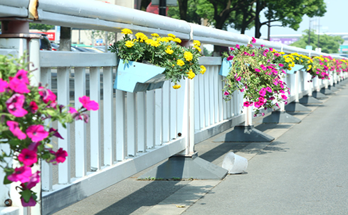 道路护栏